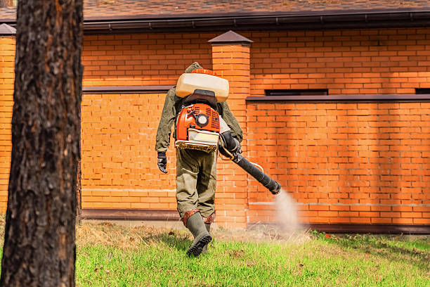 Top rated local Wasp Removal specialists in Chicago Heights, IL